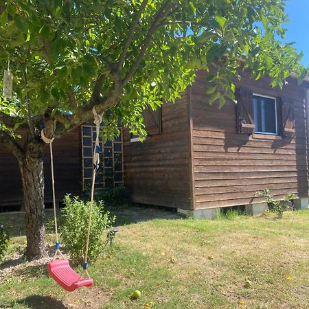 Le Chalet Pignantais Avec Option Jacuzzi Pignans Esterno foto
